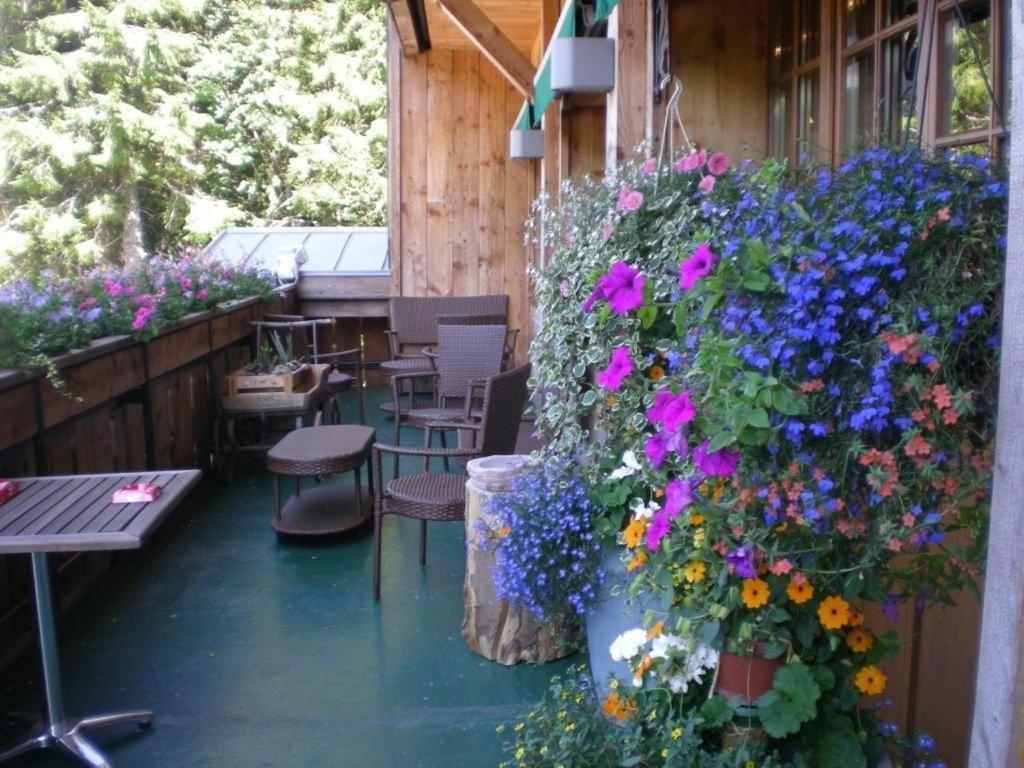 Chalet Hotel Le Collet Xonrupt-Longemer Kültér fotó